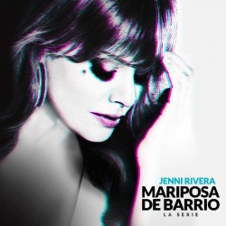 Compra la Telenovela: Mariposa de barrio completo en DVD.