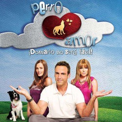 Comprar la Telenovela: Perro amor completo en DVD.