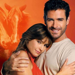 Comprar la Telenovela Pura sangre completo en DVD.