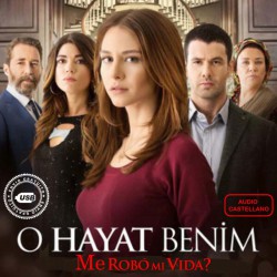 Comprar la Serie: Me Robó Mi Vida (O Hayat Benim)-(2:Temporadas) Completo en USB y DVD.