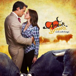 Compra la Telenovela: Amor bravio completo en ausb Y DVD.