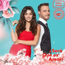 Comprar la Serie ¿Será Que Es Amor (Sen Çal Kapımı) 2T (Audio-Latino) Completo en USB Y DVD.