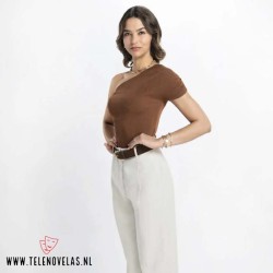 Comprar la Telenovela Mi amor sin tiempo Completo en USB Y DVD.