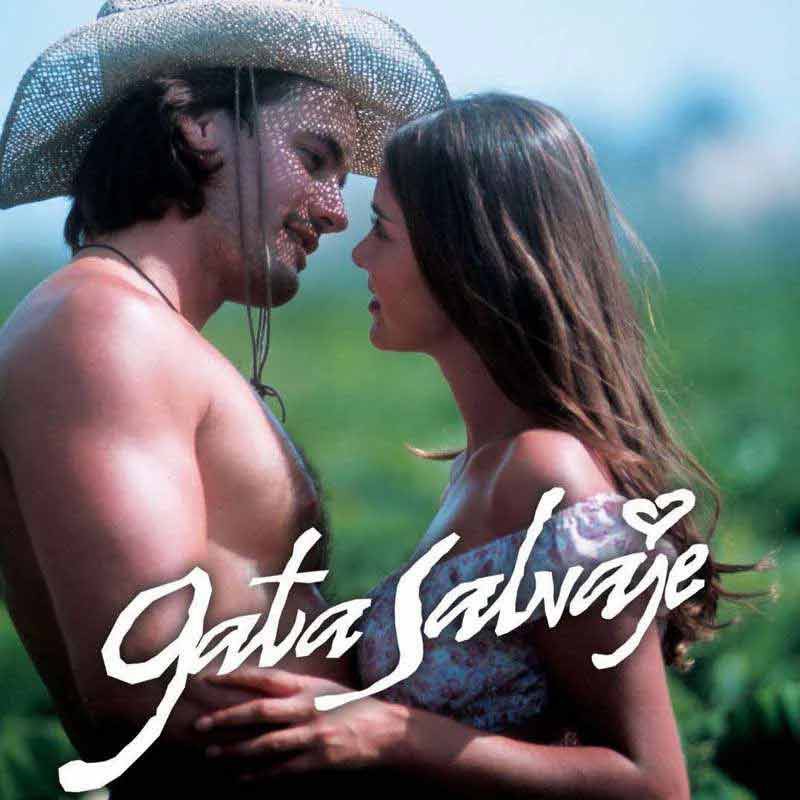 Comprar la Telenovela Gata salvaje completo en USB Y DVD.