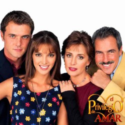 Compra la Telenovela: El privilegio de amar completo en DVD y USB.