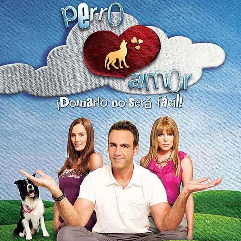 Comprar la Telenovela: Perro amor completo en DVD y USB