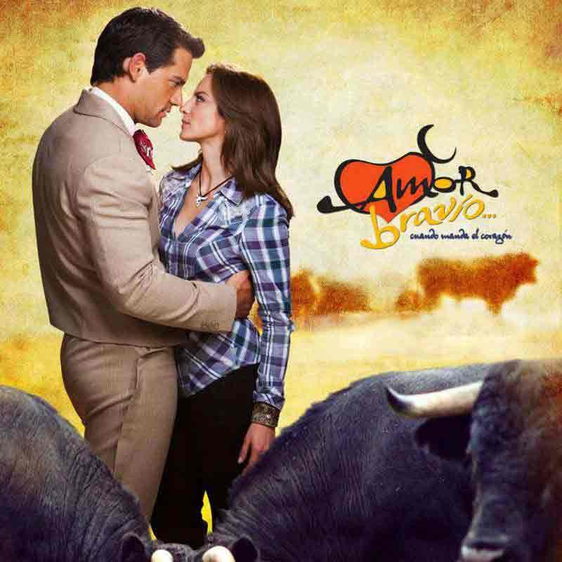 Comprar la telenovela mexicana Amor bravío completa en DVD y USB - Silvia Navarro y Cristian de la Fuente