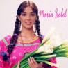 Comprar la telenovela María Isabel completa en DVD y USB - Adela Noriega y Fernando Carrillo