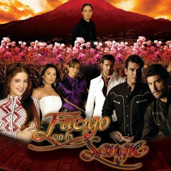 Compra la Telenovela: Fuego en la Sangre completo en DVD.