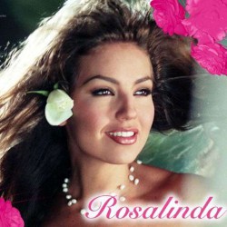 Comprar la Telenovela: Rosalinda completo en DVD.