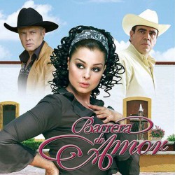 Comprar la Telenovela: Barrera de amor completo en DVD.