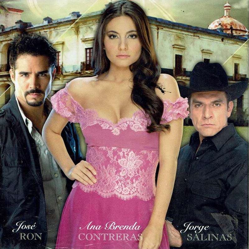 Comprar la Telenovela: La que no podia amar completo en DVD.