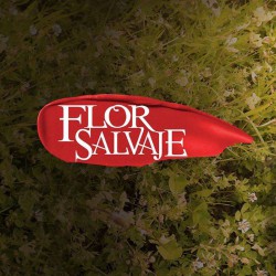 Comprar la Telenovela: Flor Salvaje completo en DVD.