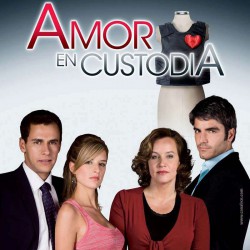 Comprar la Telenovela: Amor en custodia completo en DVD.