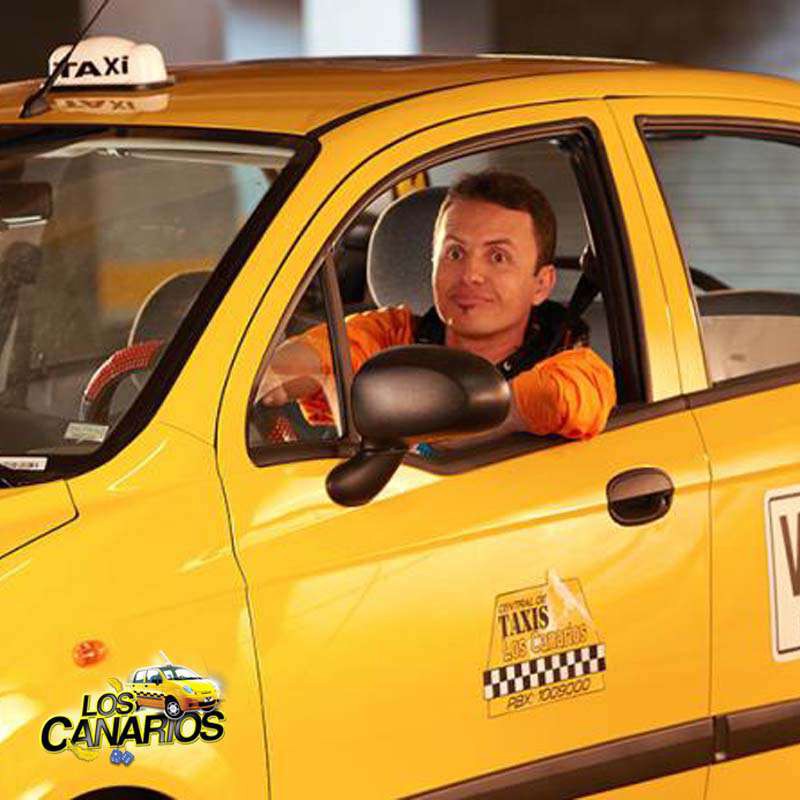 Comprar la Serie: Los canarios completo en DVD. Comprar la Serie: Los canarios completo en DVD.
