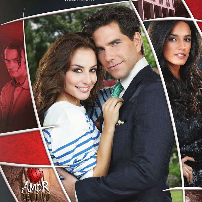 Compra la Telenovela: Amor cautivo completo en DVD.